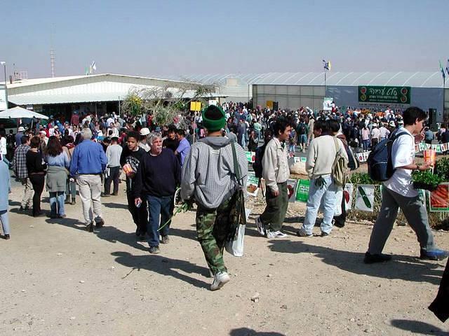 מכל קצות הארץ