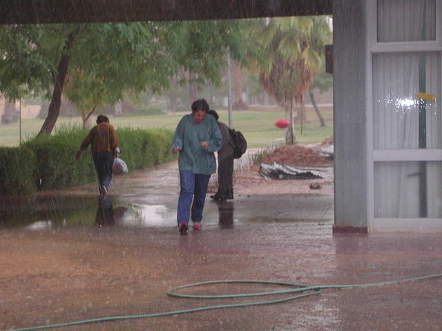 בריצה - לתפוס מחסה