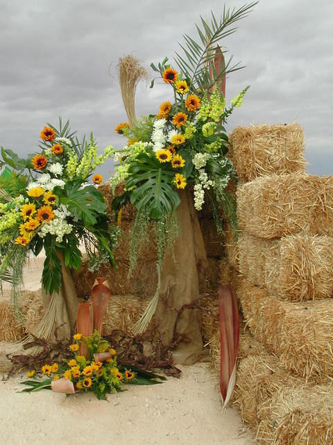 מברכים בפרחים