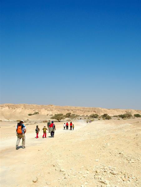 צילום: גלעד ליבני