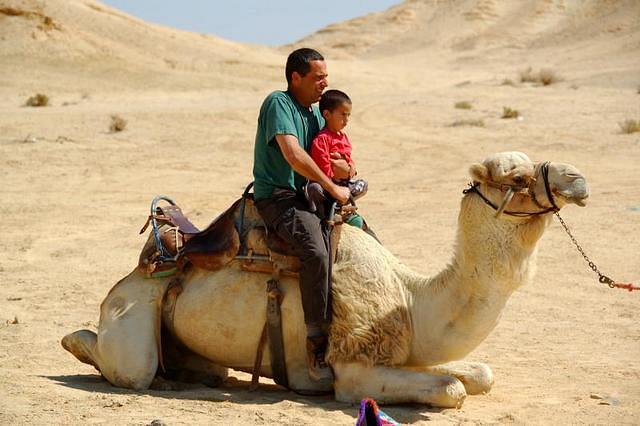 צילום: גלעד ליבני