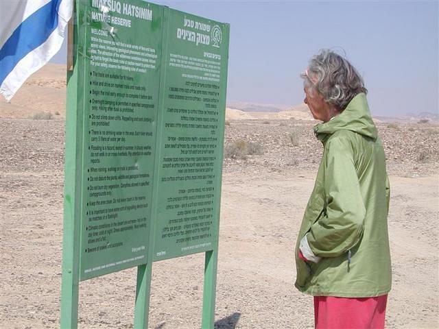 צילום: גילה טל