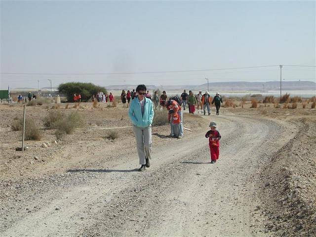 צילום: גילה טל