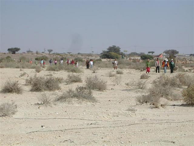 צילום: גילה טל