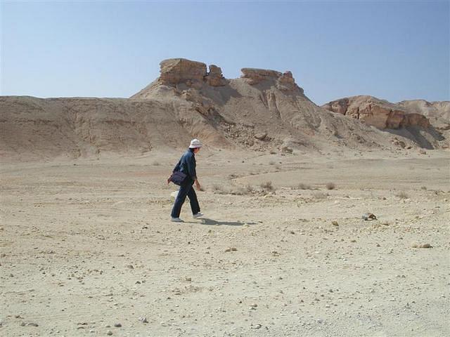 צילום: גילה טל