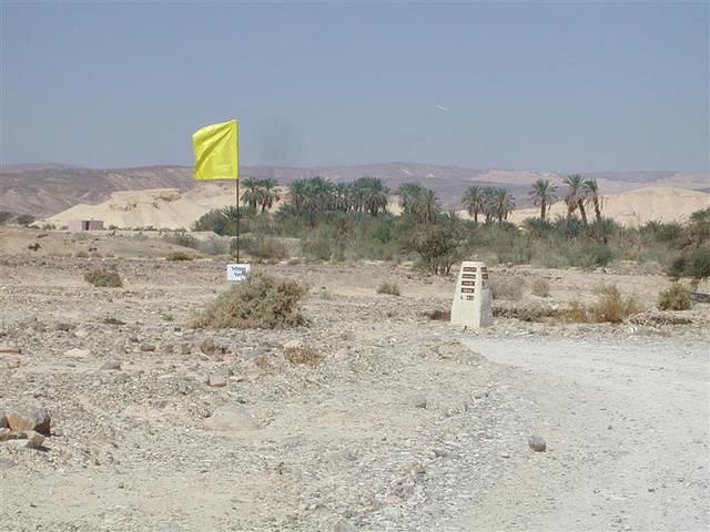 צילום: גילה טל