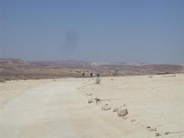 צילום: גילה טל