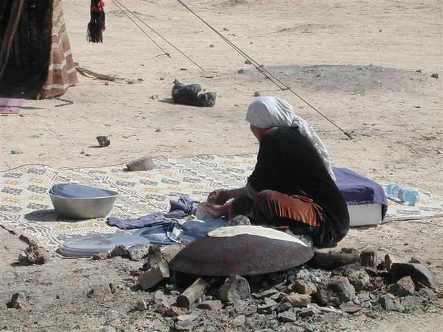 צילום: גילה טל