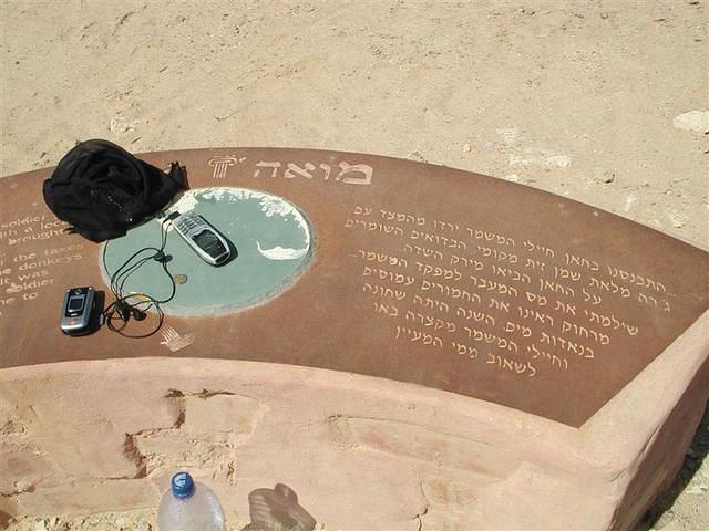 צילום: גילה טל