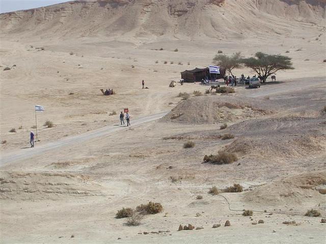 צילום: גילה טל