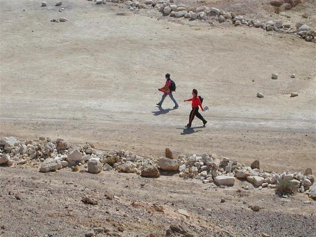 צילום: גילה טל