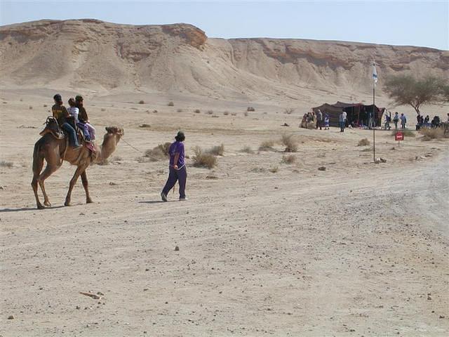 צילום: גילה טל