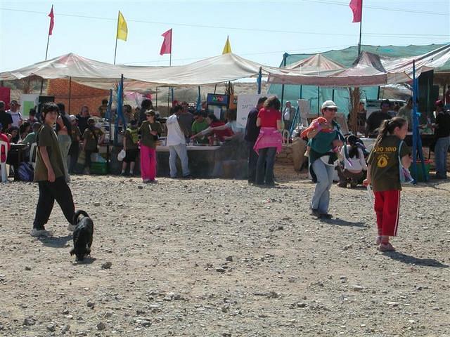 צילום: גילה טל