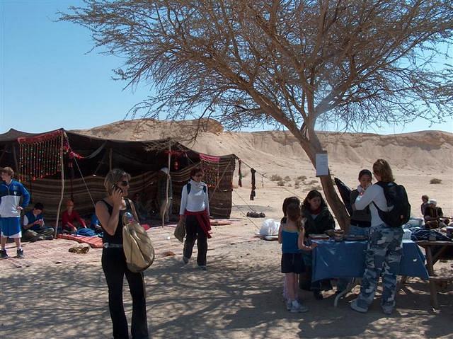 צילום: גיל סלוין