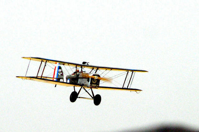 צילום: שחר גרבר