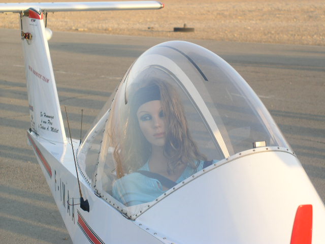 צילם-אמיר סויסה