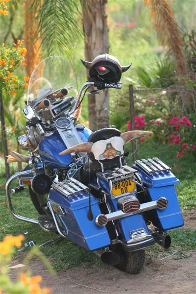 צילם: רונן טופלברג