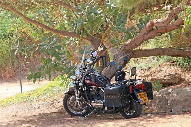 צילם: רונן טופלברג