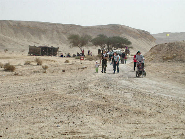 אוהל בדואי בדרך