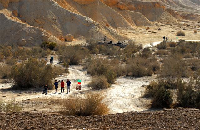 צעדה 200842 (Small)