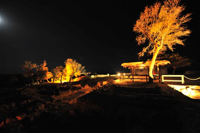 _GLF3057 _Small__001.JPG