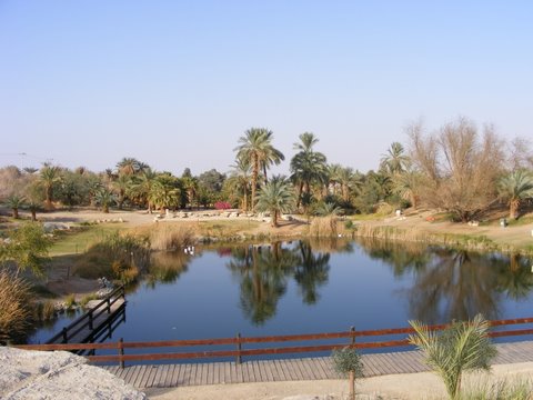 ___________ 13_03_09 002.jpg