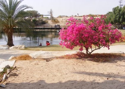 ___________ 13_03_09 019.jpg