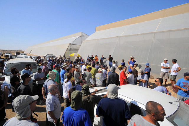 ___________ 1009 03.JPG