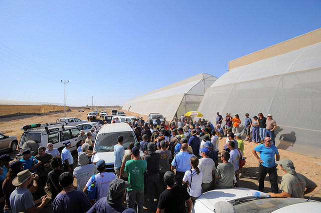 ___________ 1009 04.JPG