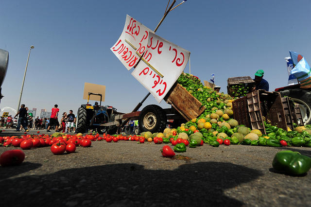 צילום: גלעד לבני