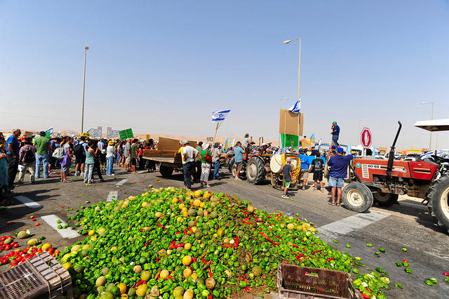 צילום: גלעד לבני