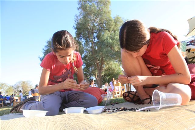 _____________ ______________ ____________2.jpg