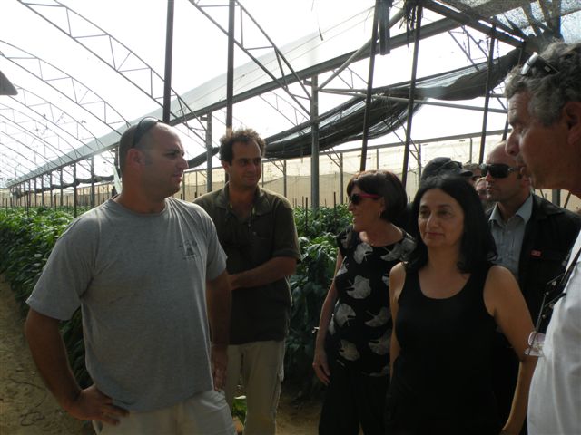 ____ ____ ____ 11_10_11 018.jpg