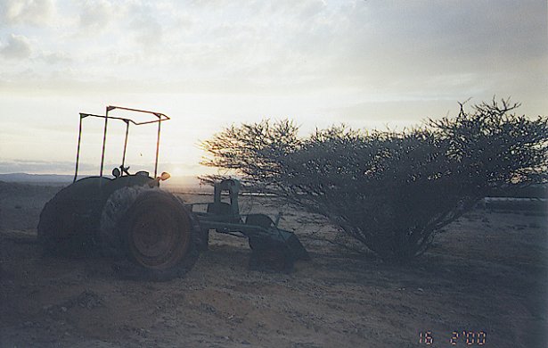 כבוד אחרון לטרקטור הראשון. רם יזהר, עין חצבה