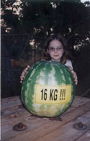 ילדה קטנה ואבטיח גדול - רם יזהר, עין חצבה