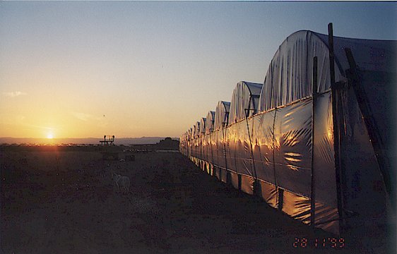 חממות זוהרות - רם יזהר, עין חצבה