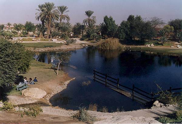 זו לא פטה מורגנה.. - יעקב פטל חצבה. נמסר ע"י ארכיון עין יהב