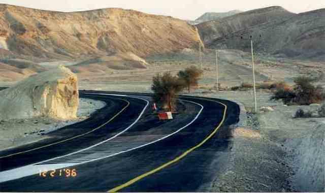 מקום ראשון: שמירת טבע - סיבו, חצבה. עץ שיטה באמצע הכביש, צומת ציחור - מצפה רמון