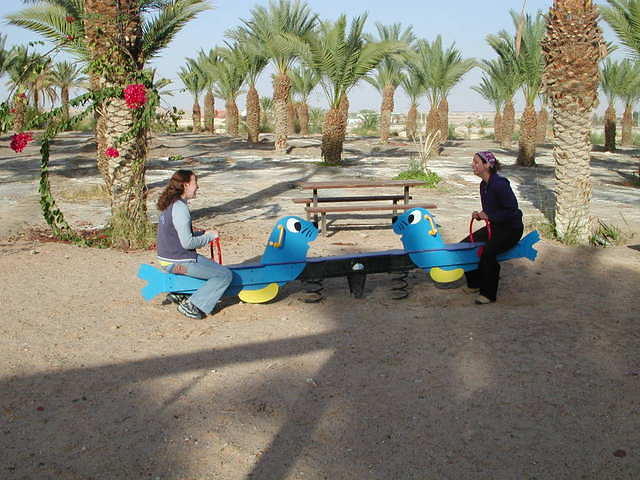 משתעשעים במתקנים