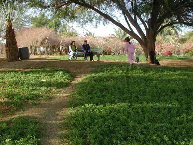 פינת חמד בגן