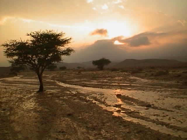 ..מים ושמיים