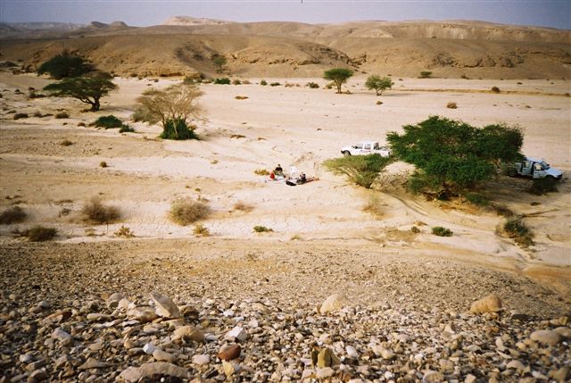 נחל נמיה. צלמה: ניצה הופמן, עין יהב