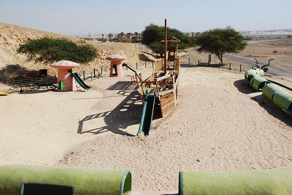 אנטילופות - מגרש משחקים