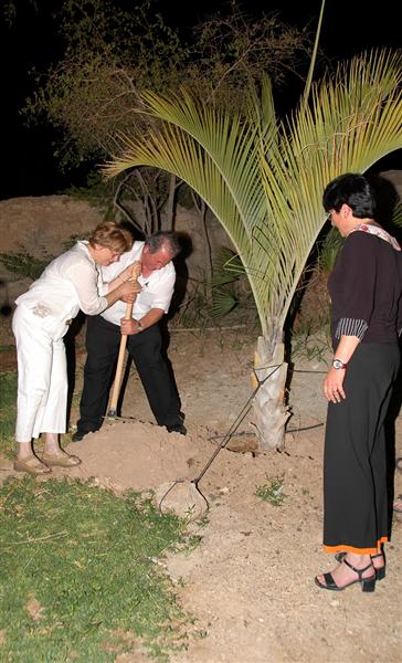 2006-06-05_19-13-42DSC_9288 (Medium)