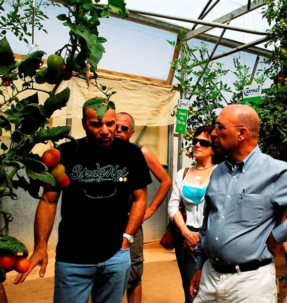 _DSC1678 (Large) (Medium)