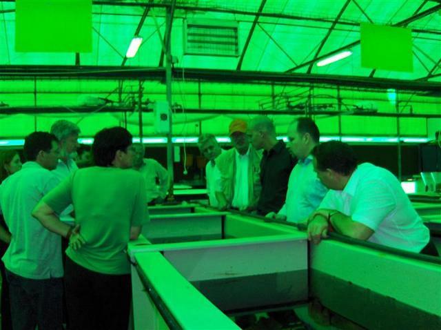 איחוד אירופאי 002 (Medium)