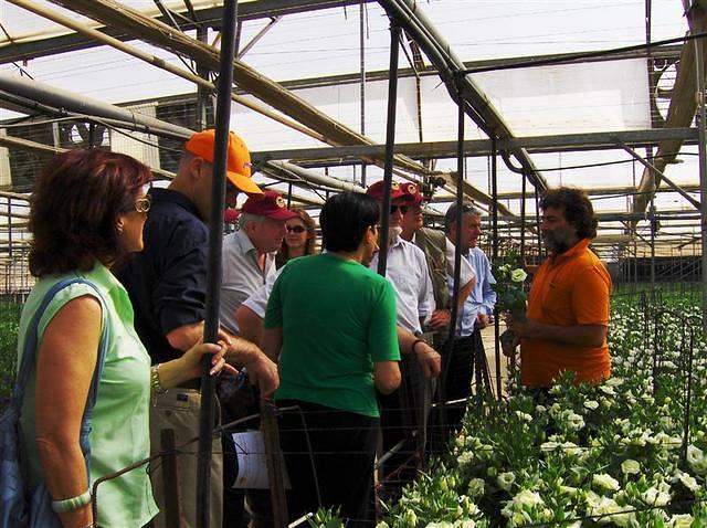 איחוד אירופאי 007 (Medium)