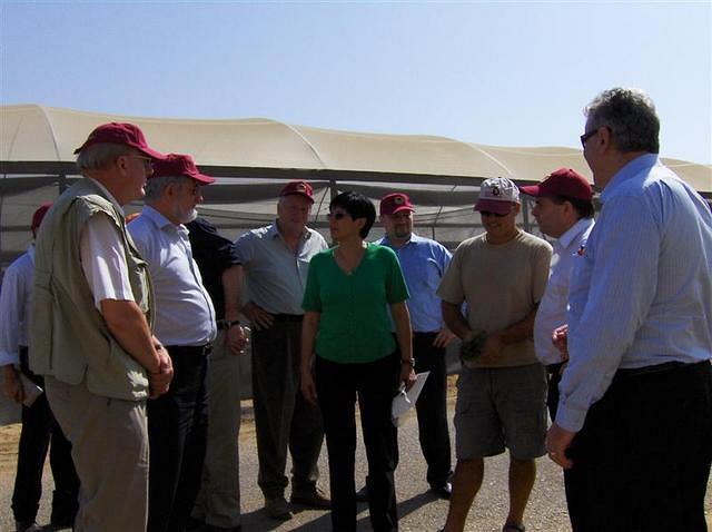 איחוד אירופאי 009 (Medium)