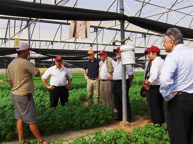 איחוד אירופאי 012 (Medium)