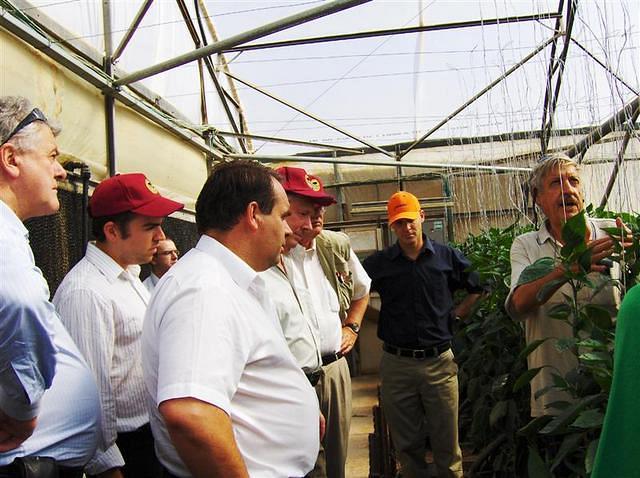 איחוד אירופאי 015 (Medium)